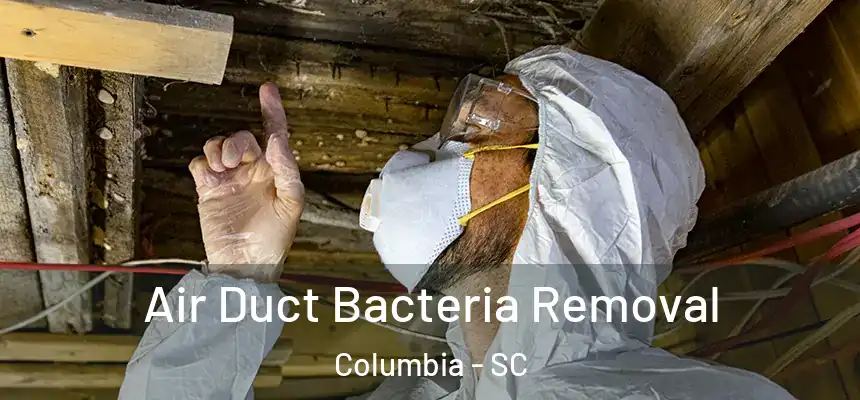 Air Duct Bacteria Removal Columbia - SC