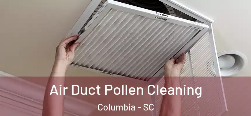 Air Duct Pollen Cleaning Columbia - SC