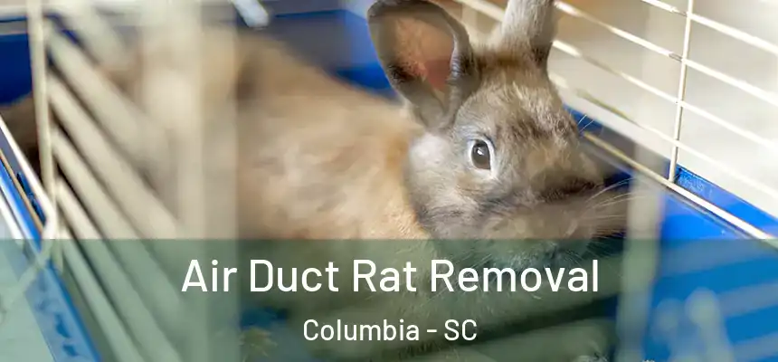 Air Duct Rat Removal Columbia - SC