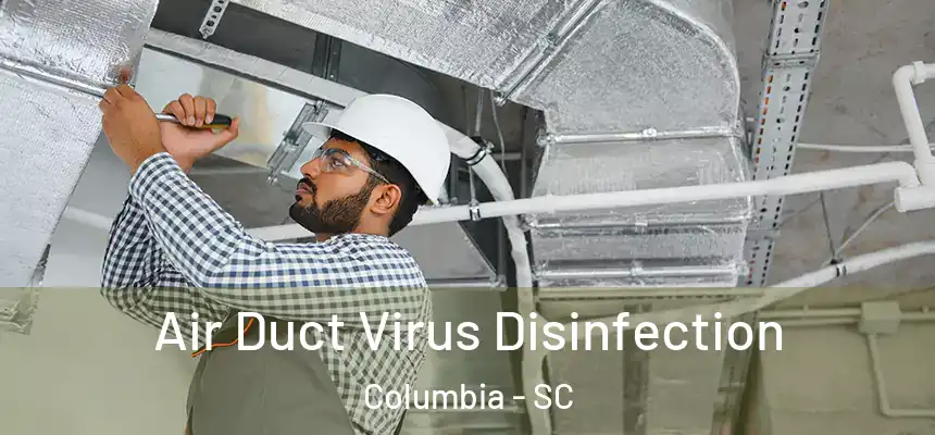 Air Duct Virus Disinfection Columbia - SC