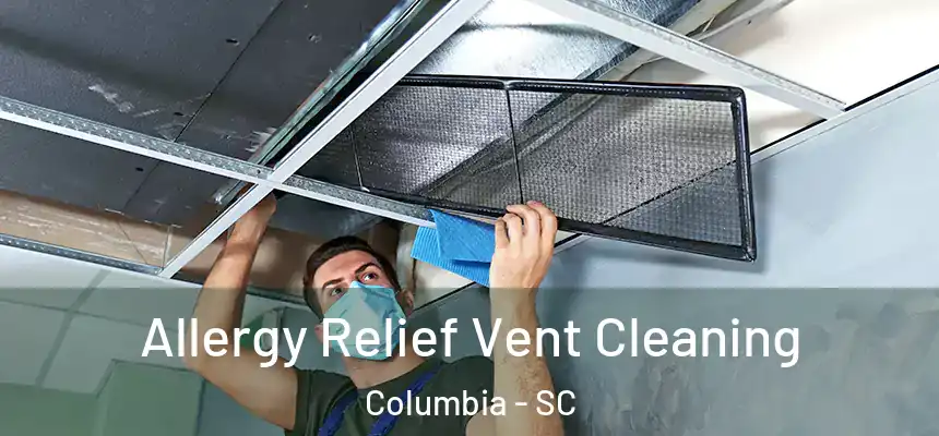Allergy Relief Vent Cleaning Columbia - SC