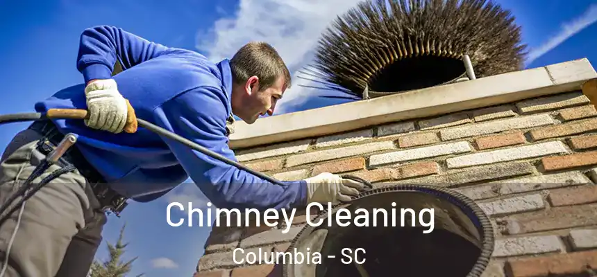  Chimney Cleaning Columbia - SC