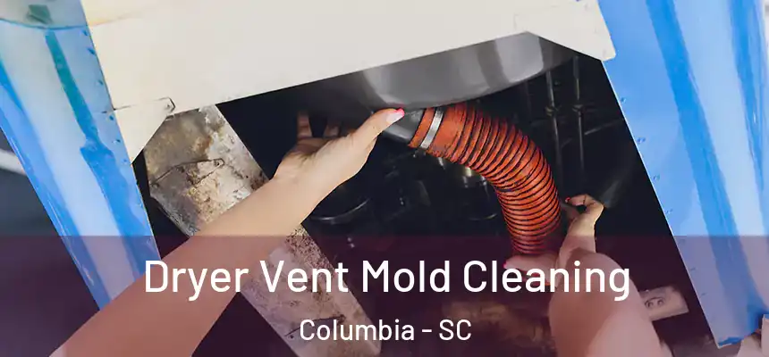 Dryer Vent Mold Cleaning Columbia - SC