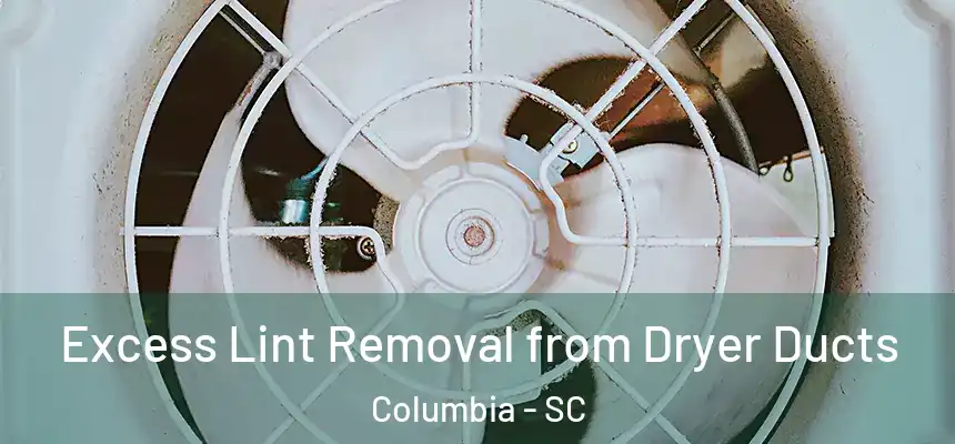 Excess Lint Removal from Dryer Ducts Columbia - SC
