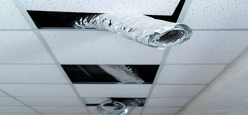 Affordable HVAC Sanitizing After Pest Removal in Columbia