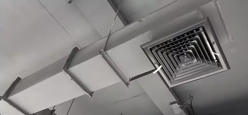 Our Rodent Droppings In Vents Services in Columbia, SC