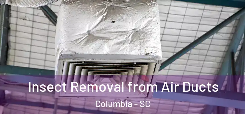 Insect Removal from Air Ducts Columbia - SC