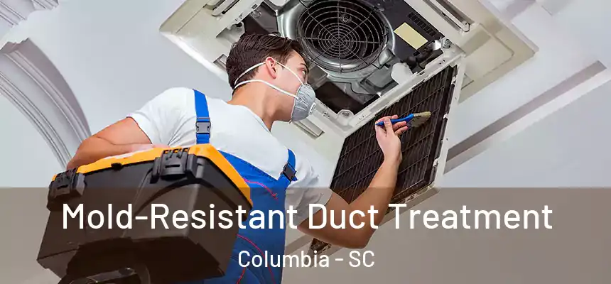  Mold-Resistant Duct Treatment Columbia - SC