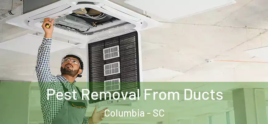 Pest Removal From Ducts Columbia - SC