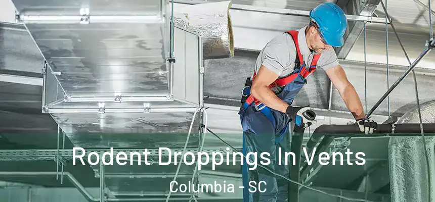 Rodent Droppings In Vents Columbia - SC