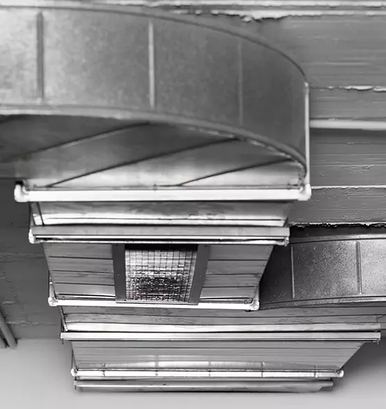 Professional Air Duct Pet Hair Removal in Columbia, SC