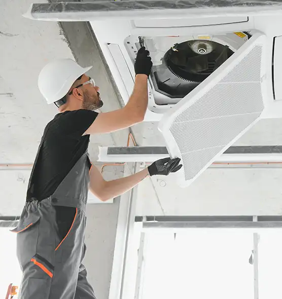 About Air Duct Rodent Removal in Columbia, SC