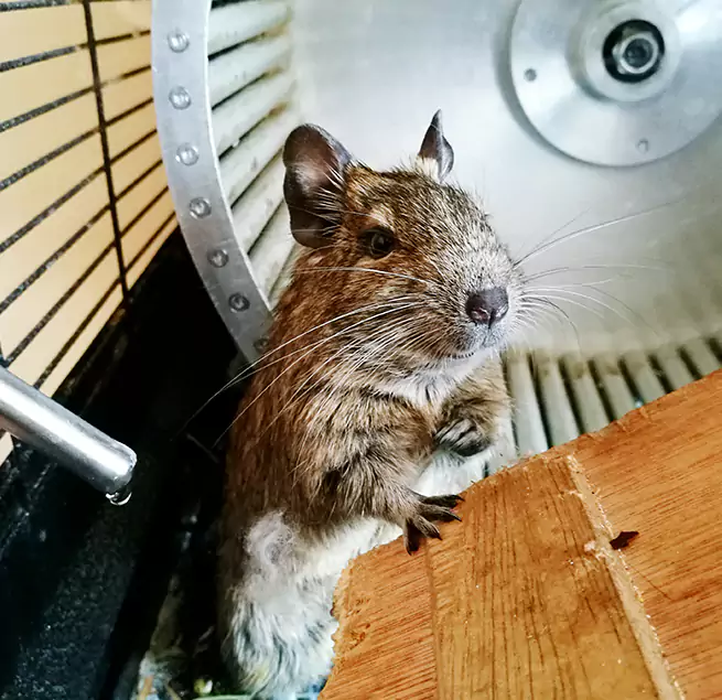 Why Homeowners & Businesses Trust Us Columbia, SC