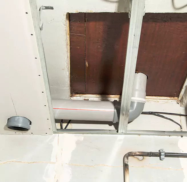 Why Homeowners & Businesses Trust Us in Columbia, SC?