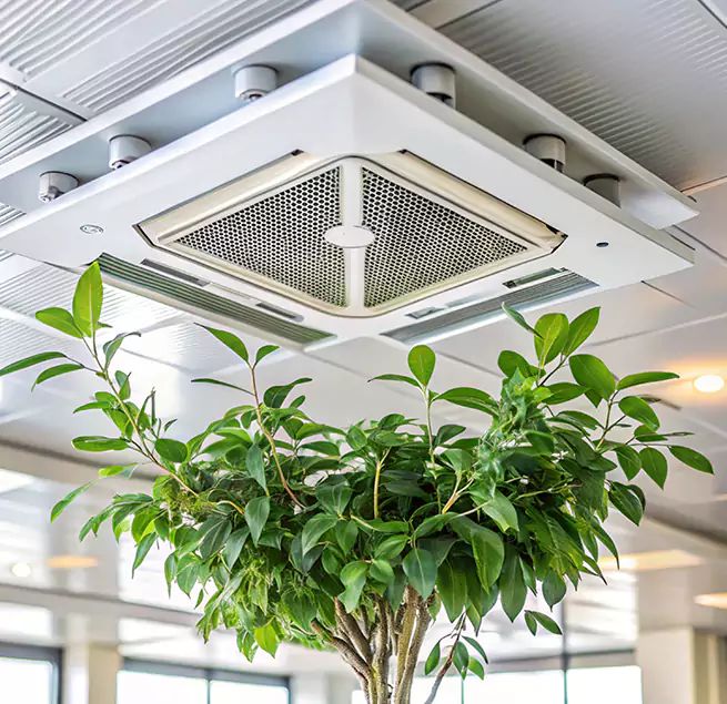 Why Homeowners & Businesses Trust Us in Columbia, SC?