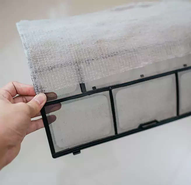 Why Homeowners & Businesses Trust Us in Columbia, SC?