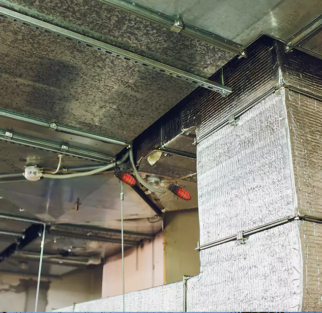 Why Homeowners & Businesses Trust Us Columbia, SC?