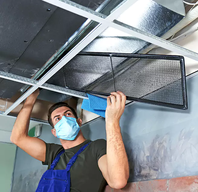 Why Homeowners & Businesses Trust Us in Columbia, SC?