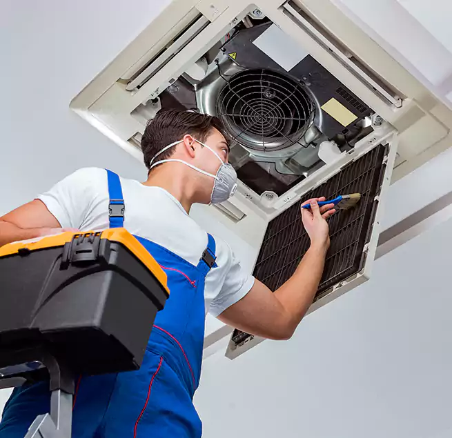 Why Homeowners & Businesses Trust Us in Columbia, SC?